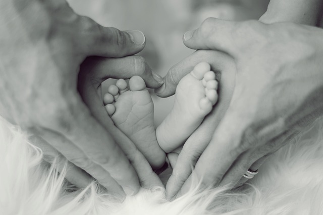 Alles over de reis van voedings- en borstvoedingstips, naar luierwissel en badtijdgeheimen, tot de geheimen van baby's slaaproutine en hun gezondheid en veiligheid